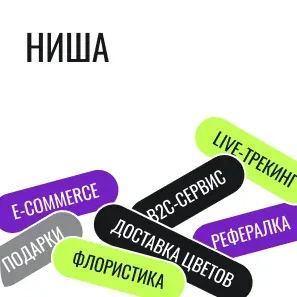 Ниша проекта BLOOM