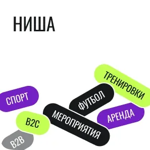 Ниша проекта Футболикс