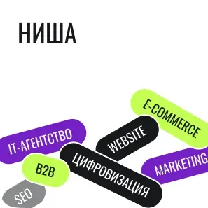 Ниша проекта Onyx